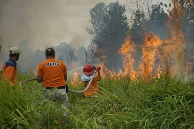 1.219,93 Hektare Lahan Riau Terbakar Sejak Januari